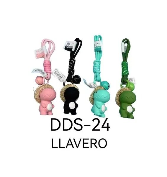 LLAVERO DDS-24-300